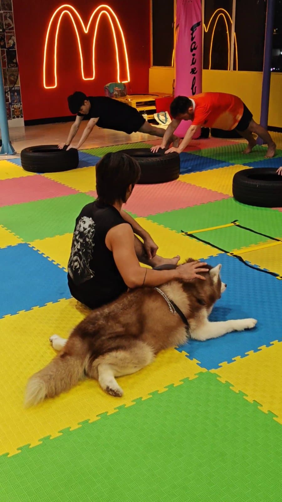Pet's Friendly at Hercules Factory